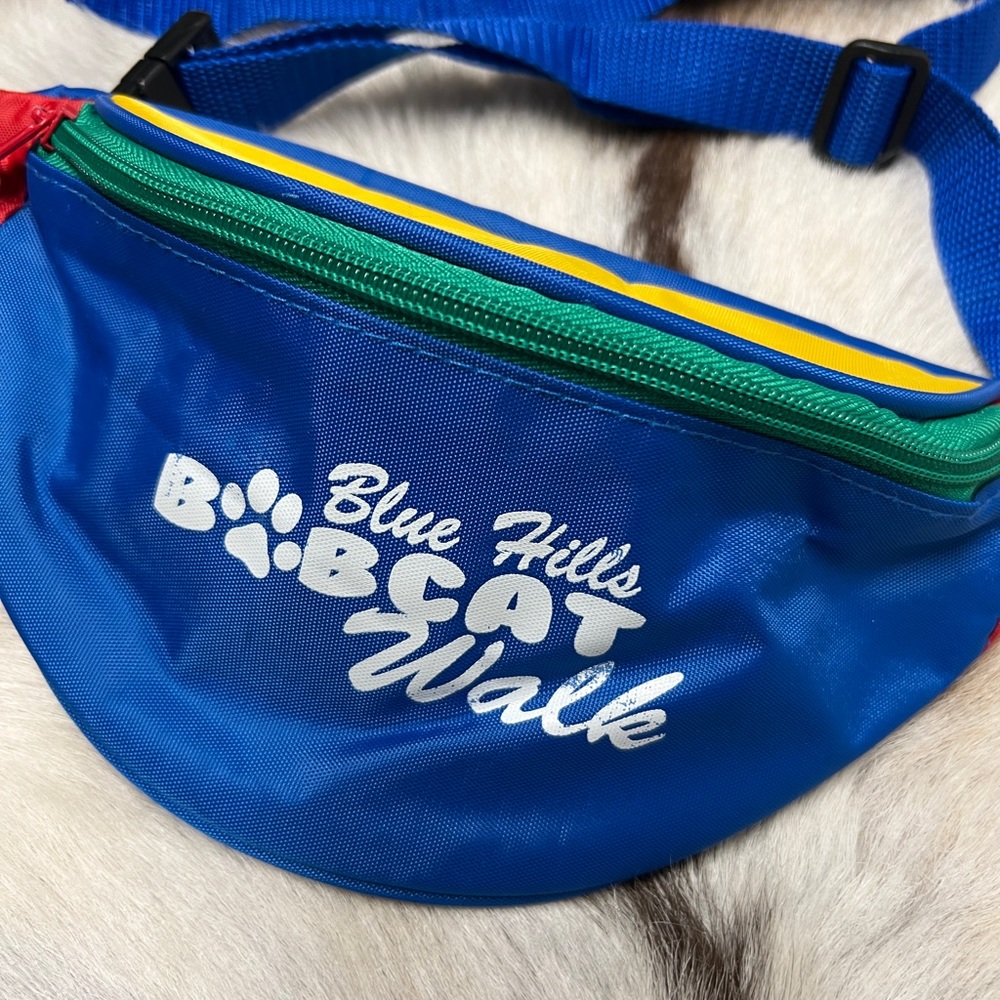 Vintage Kids Fanny Pack Hip Belly Bag Y2K 90s Style Teen Child Fashion 80s Purse - Picture 2 of 5